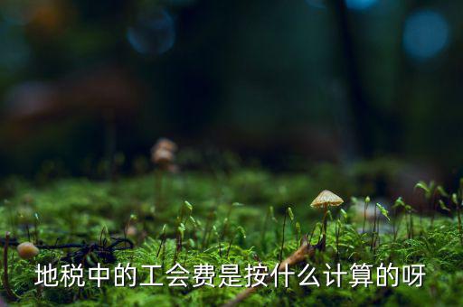 交地稅時的工會經(jīng)費(fèi)如何計算方法，地稅中的工會費(fèi)是按什么計算的呀