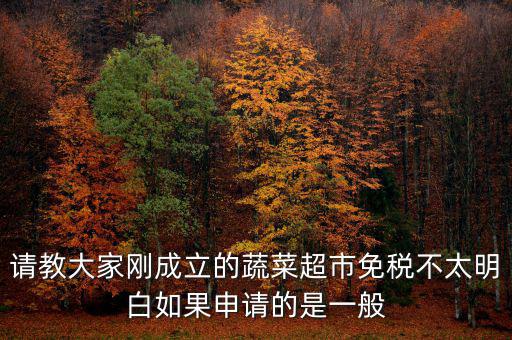 蔬菜免稅如何申請，如何申請蔬菜免稅發(fā)票