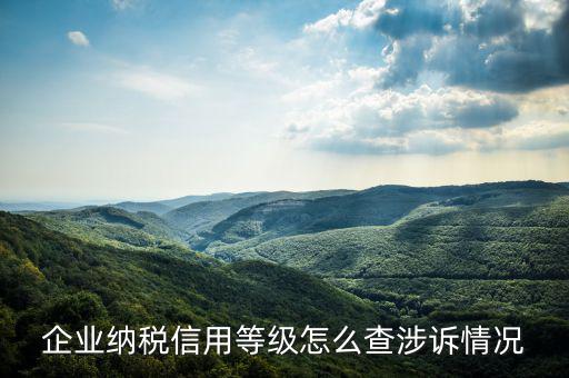 如何查詢企業(yè)納稅評級，如何查詢企業(yè)50萬 還是80萬升級一般納稅人