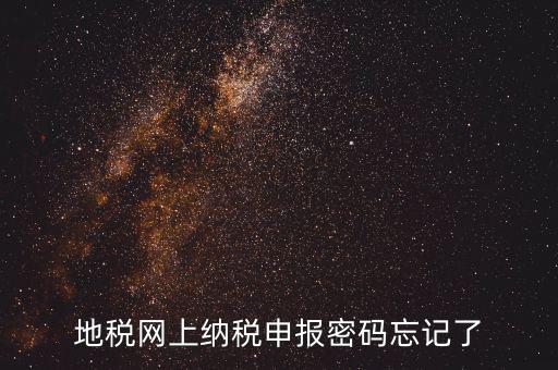 網(wǎng)報(bào)如何復(fù)制密碼，地稅網(wǎng)上納稅申報(bào)密碼忘記了