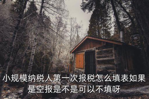 如何填寫(xiě)首次辦稅補(bǔ)充信息表，稅務(wù)登記補(bǔ)充信息采集表怎么填 誰(shuí)知道啊