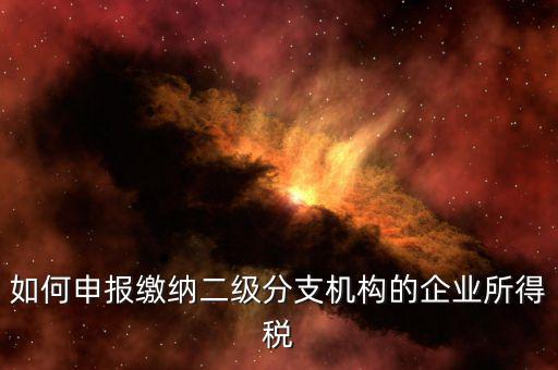 分支機(jī)構(gòu)企業(yè)所得稅如何申報(bào)，如何申報(bào)繳納二級(jí)分支機(jī)構(gòu)的企業(yè)所得稅
