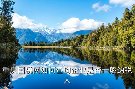 如何查詢增值稅一般納稅人資格，重慶國稅網如何查詢企業(yè)是否一般納稅人