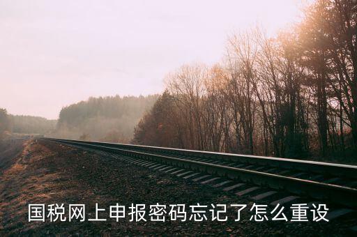 網(wǎng)上稅務(wù)局登錄密碼如何重置，國稅網(wǎng)上申報密碼忘記了怎么重設(shè)