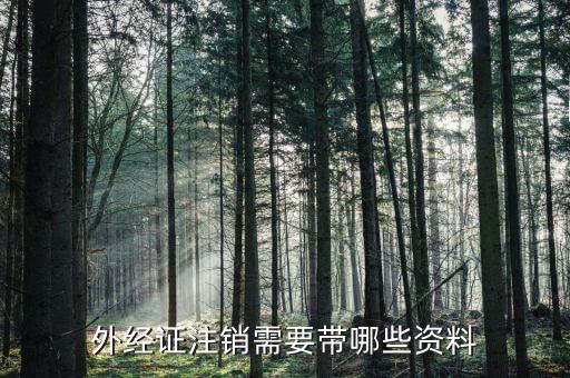 外經(jīng)證注銷(xiāo)需要帶哪些資料
