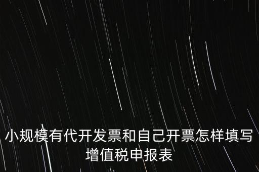 代開專票申報時如何填寫，自助開具增值稅專用發(fā)票申報單怎么填