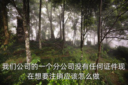 外管證不見了如何注銷，注銷外管證沒帶公司章可以嗎
