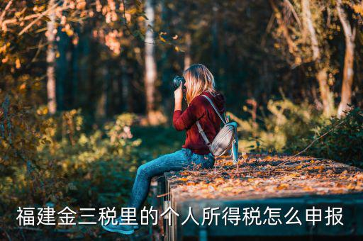 福建省個(gè)稅如何申報(bào)，福建金三稅里的個(gè)人所得稅怎么申報(bào)