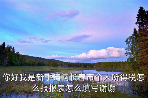 長(zhǎng)春國(guó)稅如何報(bào)稅，長(zhǎng)春市地稅申報(bào)