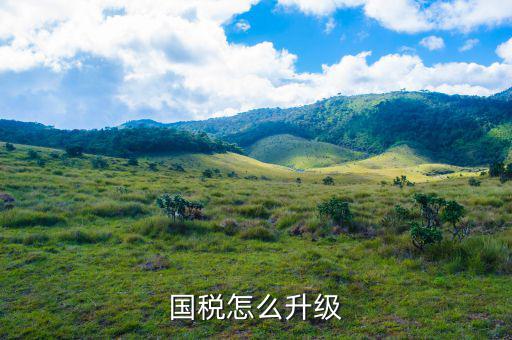 國稅系統(tǒng)如何適應(yīng)新時(shí)代，如何做好新形勢(shì)下的國稅工作