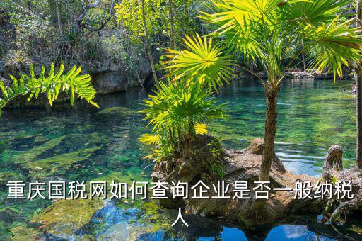 如何在國稅網(wǎng)查是否一般納稅人，怎么在網(wǎng)上查一個(gè)單位是不是一般納稅人