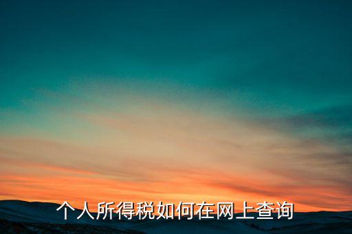 天津如何查個人所得稅，個人所得稅如何在網(wǎng)上查詢