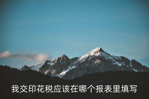 網(wǎng)上印花稅表如何填寫，印花稅申報(bào)報(bào)表要怎么填啊