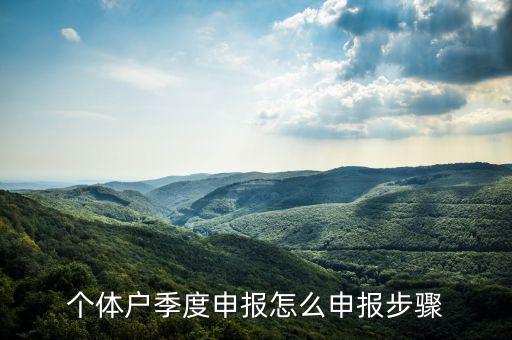 個(gè)體戶如何季度申報(bào)表，個(gè)體戶每個(gè)季度怎樣報(bào)稅