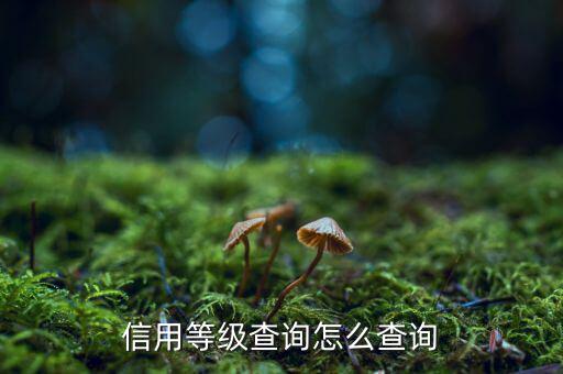 外管局信用等級查詢如何查詢，信用等級查詢怎么查詢