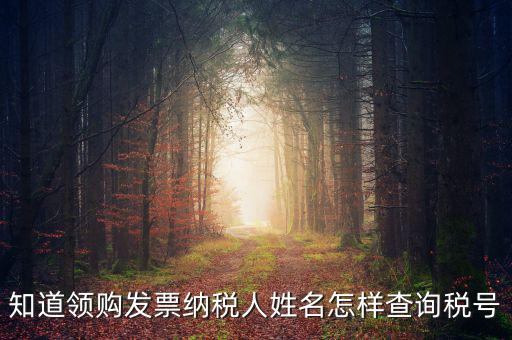 知道領(lǐng)購(gòu)發(fā)票納稅人姓名怎樣查詢(xún)稅號(hào)