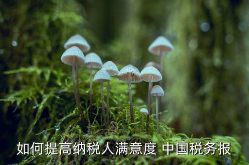 地稅如何提升納稅人滿意度，如何提高納稅人滿意度 中國(guó)稅務(wù)報(bào)