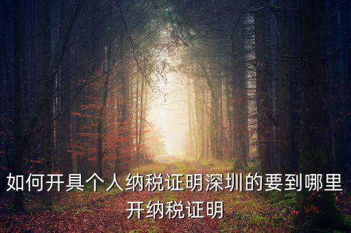 如何開地方稅務(wù)局納稅證明，地稅證明怎么開