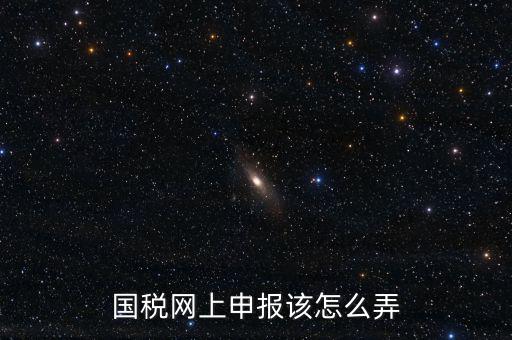 國稅新系統(tǒng)如何申報(bào)，國稅網(wǎng)上申報(bào)該怎么弄