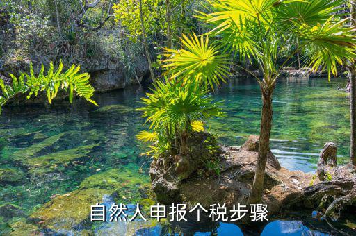 如何使用自然人納稅系統(tǒng)，新辦企業(yè)怎樣登錄自然人電子稅務(wù)局扣繳端