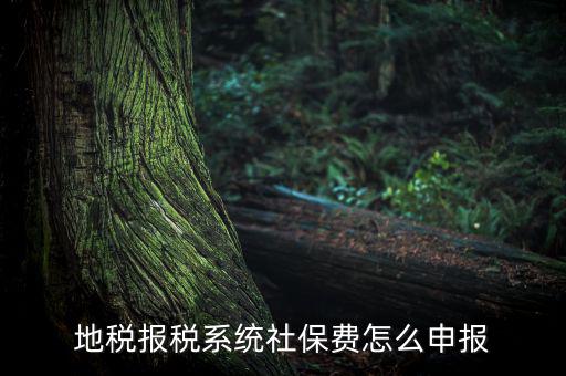 地稅如何申報(bào)社保嗎，地稅報(bào)稅時(shí)社保怎么填