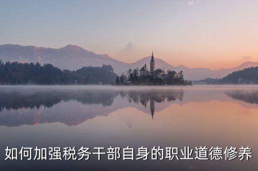 如何加強(qiáng)稅務(wù)干部自身的職業(yè)道德修養(yǎng)