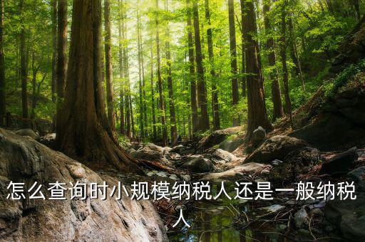 如何查詢成為納稅人時(shí)間，怎么查詢時(shí)小規(guī)模納稅人還是一般納稅人
