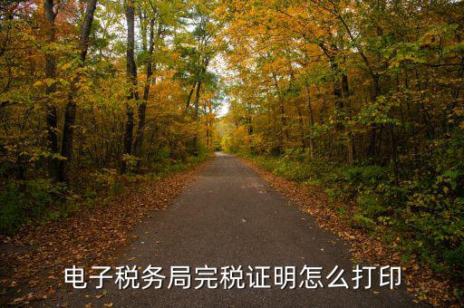 福建省網(wǎng)上稅務(wù)局如何打印，電子稅務(wù)局完稅證明怎么打印