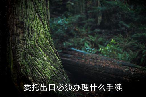 如何開具代理出口貨物證明，代理公司在當?shù)亻_具代理出口貨物證明 請問我公司如何