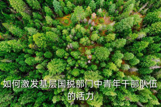 稅務如何激發(fā)干部活力，如何激發(fā)稅務干部的創(chuàng)新積極性