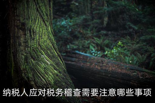 國稅稽查如何應(yīng)對聽證，怎么應(yīng)對稅務(wù)局的稅務(wù)稽查