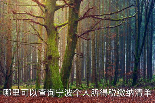 寧波個(gè)人納稅如何查詢，哪里可以查詢寧波個(gè)人所得稅繳納清單