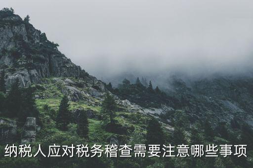 納稅人應(yīng)對稅務(wù)稽查需要注意哪些事項(xiàng)