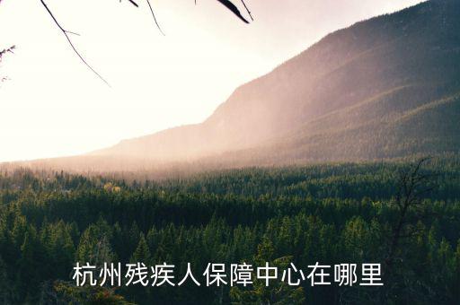 杭州市殘保證如何申請，杭州殘疾人保障中心在哪里