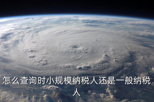 怎么查詢(xún)時(shí)小規(guī)模納稅人還是一般納稅人