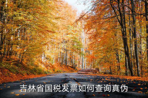 吉林如何查發(fā)票真?zhèn)尾樵?xún)，吉林省國(guó)稅發(fā)票如何查詢(xún)真?zhèn)?/></a></span><span id=