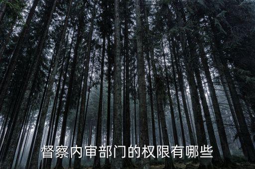 督察內(nèi)審部門(mén)的權(quán)限有哪些