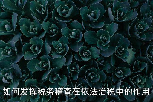 稽查部門如何優(yōu)化稅收營商環(huán)境，如何充分發(fā)揮稽查職能作用更好服務于全省稅收征管工作發(fā)展大局