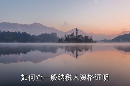 如何查一般納稅人資格，如何查一般納稅人資格證明