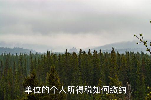 企業(yè)個(gè)人所得稅如何繳納，私營(yíng)企業(yè)職工個(gè)人所得稅如何繳納