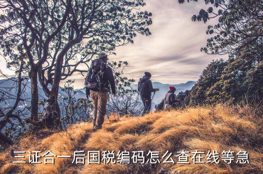 三證合一后國稅編碼怎么查在線等急