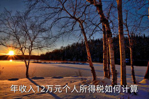 如何計(jì)算12萬(wàn)申報(bào)，年收入12萬(wàn)元個(gè)人所得稅如何計(jì)算