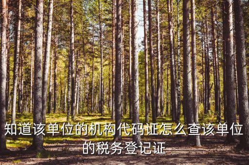 如何查企業(yè)稅務(wù)局登記，公司的稅務(wù)登記證號怎么查詢