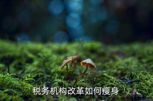 稅務(wù)改革期間如何作到兩不誤，關(guān)于稅改的問題