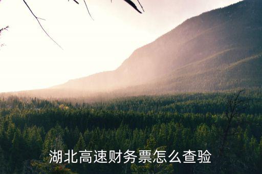 湖北地區(qū)如何網(wǎng)上查詢(xún)發(fā)票真?zhèn)?，湖北省通用定額發(fā)票查詢(xún)真?zhèn)尾樵?xún)