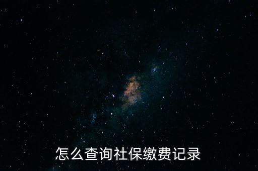 如何在地稅網(wǎng)繳納社保查詢，單位交了社保費在地稅網(wǎng)怎么查詢