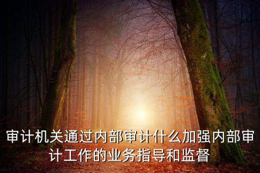 如何進一步加強督察內(nèi)審工作，如何加強紀檢監(jiān)察系統(tǒng)內(nèi)部監(jiān)督管理