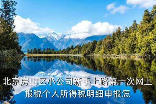 北京網(wǎng)上申報后如何繳稅，地稅國稅的網(wǎng)上繳稅怎么繳