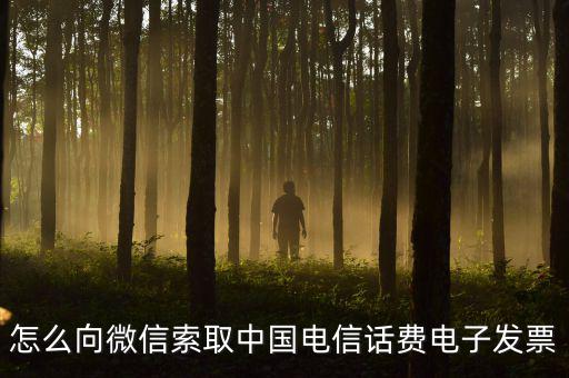 發(fā)票幫公眾號如何使用，9月1號預付微信公眾號300元9月6號收到發(fā)票要怎么做賬