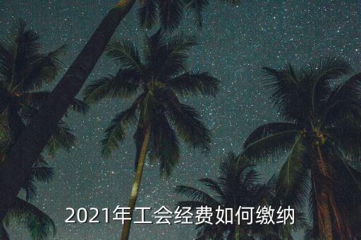 如何繳納地稅工會(huì)經(jīng)費(fèi)，工會(huì)經(jīng)費(fèi)怎么繳納在哪里交